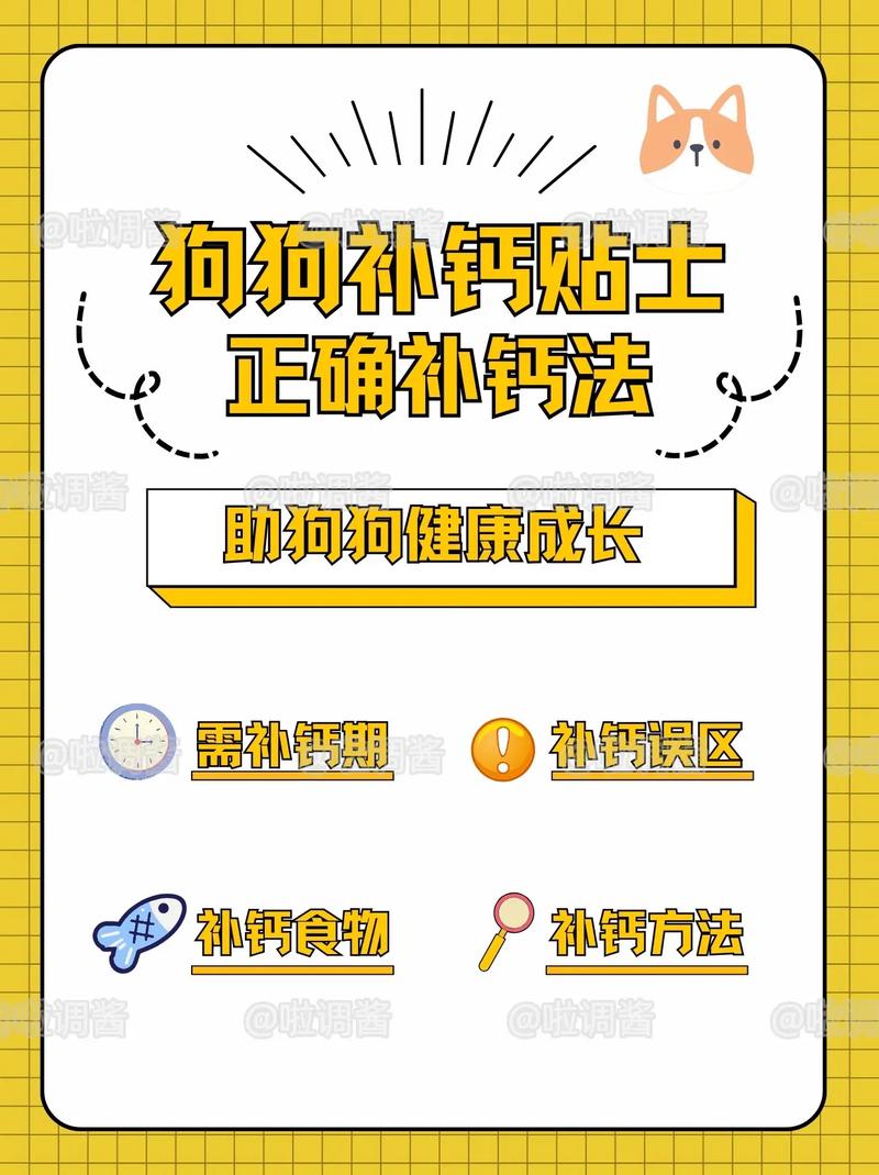 狗狗多大开始补钙比较好,小狗多大补钙好-第1张图片-后鲨宠物 狗狗多大开始补钙比较好,小狗多大补钙好-第1张图片-后鲨宠物