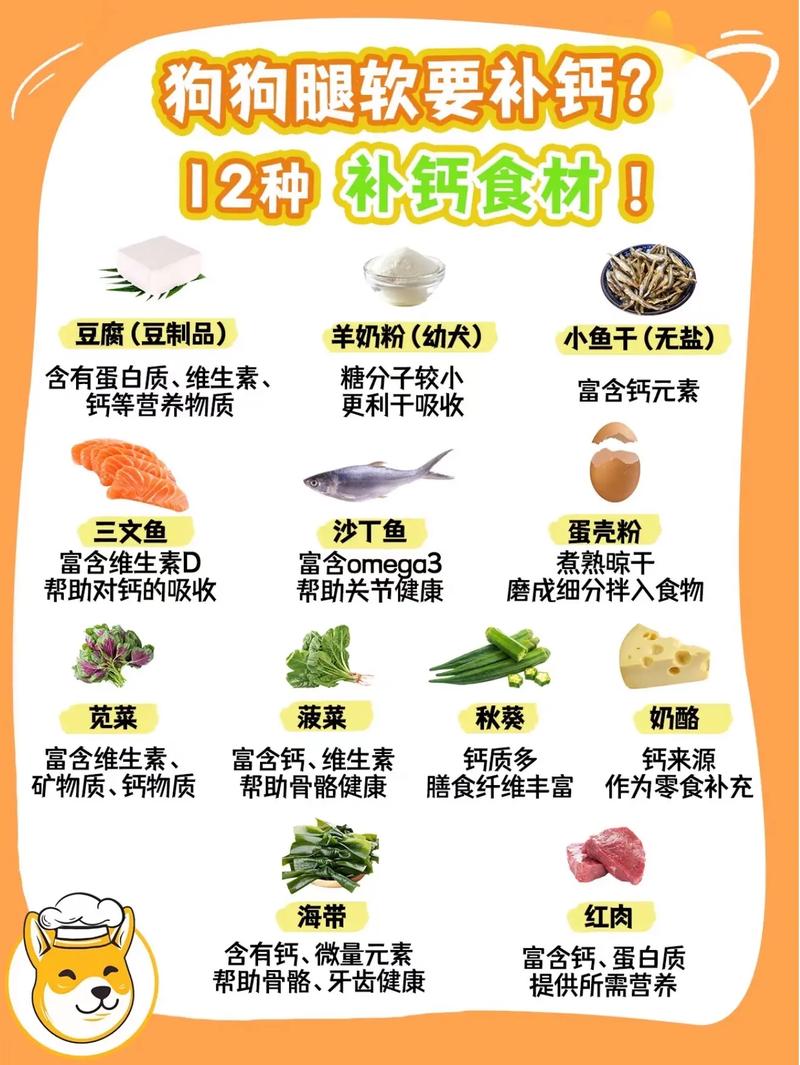 狗狗多大开始补钙比较好,小狗多大补钙好-第2张图片-后鲨宠物 狗狗多大开始补钙比较好,小狗多大补钙好-第2张图片-后鲨宠物