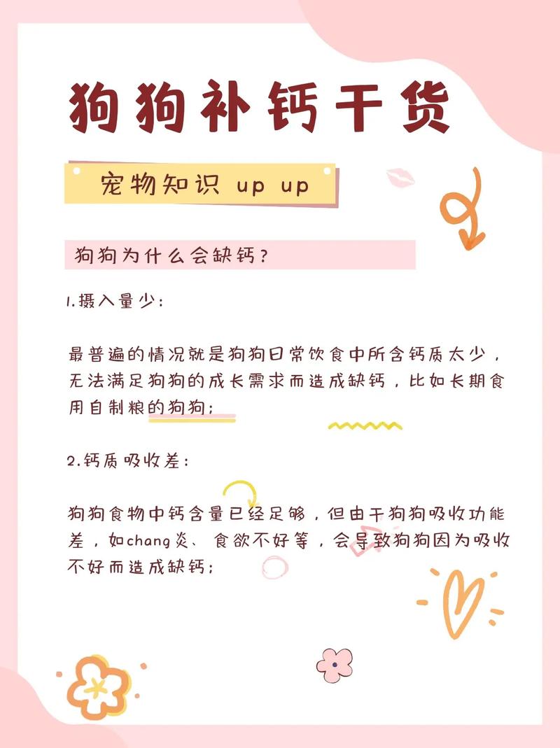 狗狗多大开始补钙比较好,小狗多大补钙好-第4张图片-后鲨宠物 狗狗多大开始补钙比较好,小狗多大补钙好-第4张图片-后鲨宠物