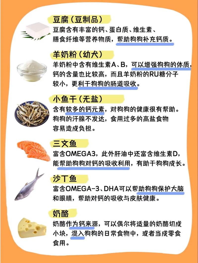 狗狗多大开始补钙比较好,小狗多大补钙好-第3张图片-后鲨宠物 狗狗多大开始补钙比较好,小狗多大补钙好-第3张图片-后鲨宠物