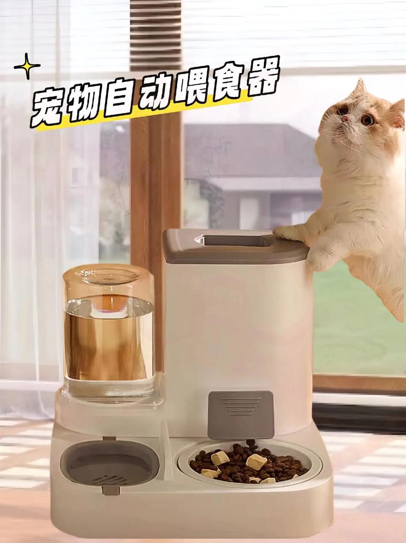 自制猫咪自动喂食器_设计猫咪的自动喂食器步骤-第3张图片-后鲨宠物 自制猫咪自动喂食器_设计猫咪的自动喂食器步骤-第3张图片-后鲨宠物