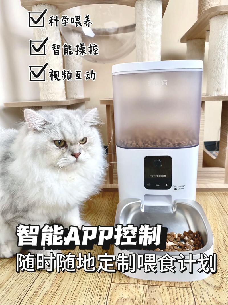 自制猫咪自动喂食器_设计猫咪的自动喂食器步骤-第5张图片-后鲨宠物 自制猫咪自动喂食器_设计猫咪的自动喂食器步骤-第5张图片-后鲨宠物