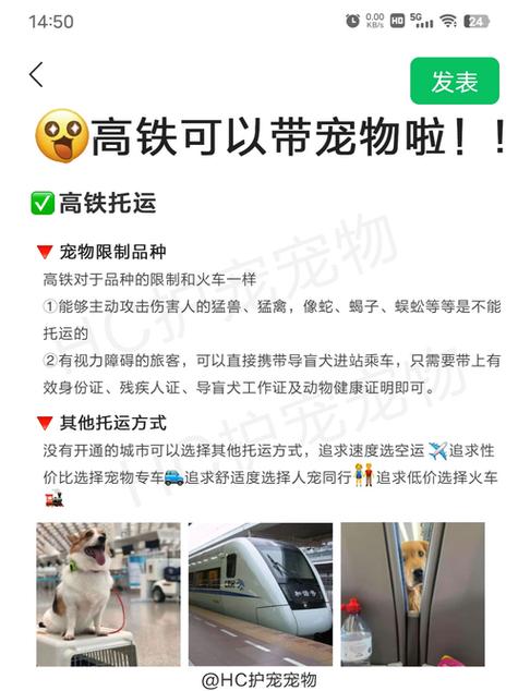 狗狗能坐动车吗_狗狗能坐动车吗现在-第2张图片-后鲨宠物 狗狗能坐动车吗_狗狗能坐动车吗现在-第2张图片-后鲨宠物