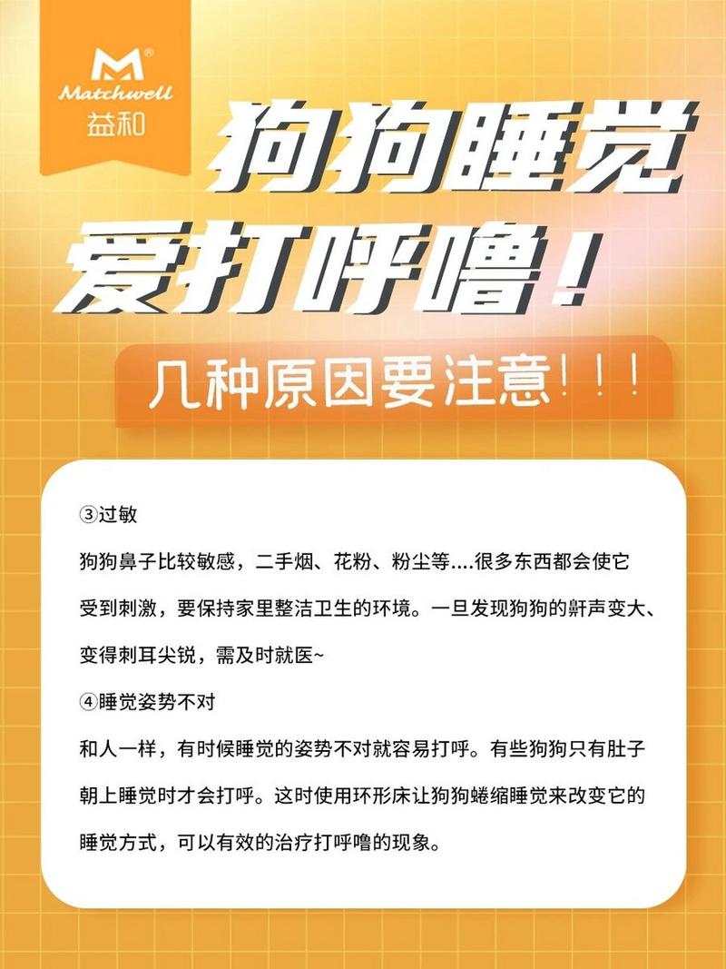 狗狗打呼噜怎么办_狗狗打呼噜变得严重是什么原因-第1张图片-后鲨宠物 狗狗打呼噜怎么办_狗狗打呼噜变得严重是什么原因-第1张图片-后鲨宠物