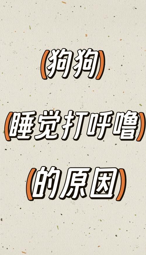 狗狗打呼噜怎么办_狗狗打呼噜变得严重是什么原因-第5张图片-后鲨宠物 狗狗打呼噜怎么办_狗狗打呼噜变得严重是什么原因-第5张图片-后鲨宠物