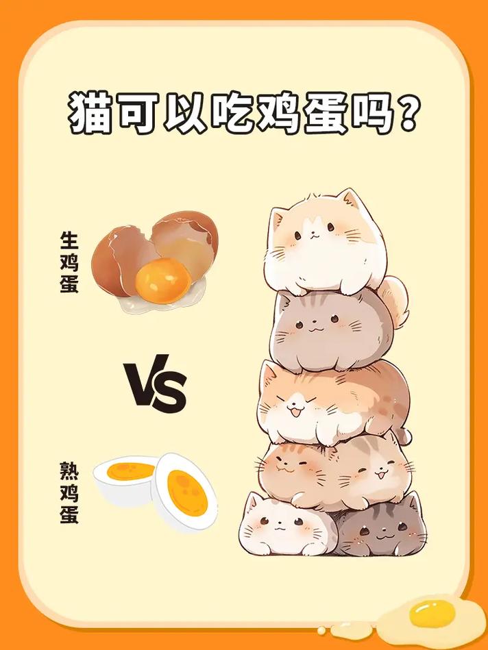 猫咪能不能吃鸡蛋,猫咪能不能吃鸡蛋清?-第3张图片-后鲨宠物 猫咪能不能吃鸡蛋,猫咪能不能吃鸡蛋清?-第3张图片-后鲨宠物
