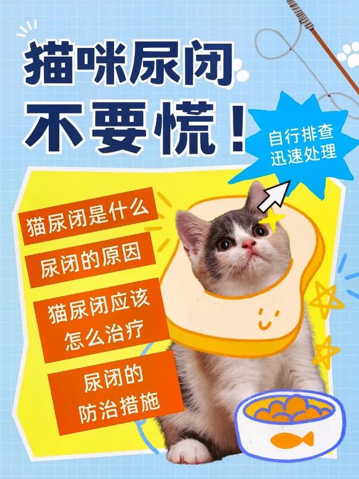 猫咪不吃不喝没精神_猫咪不吃不喝没精神吃什么药-第2张图片-后鲨宠物 猫咪不吃不喝没精神_猫咪不吃不喝没精神吃什么药-第2张图片-后鲨宠物