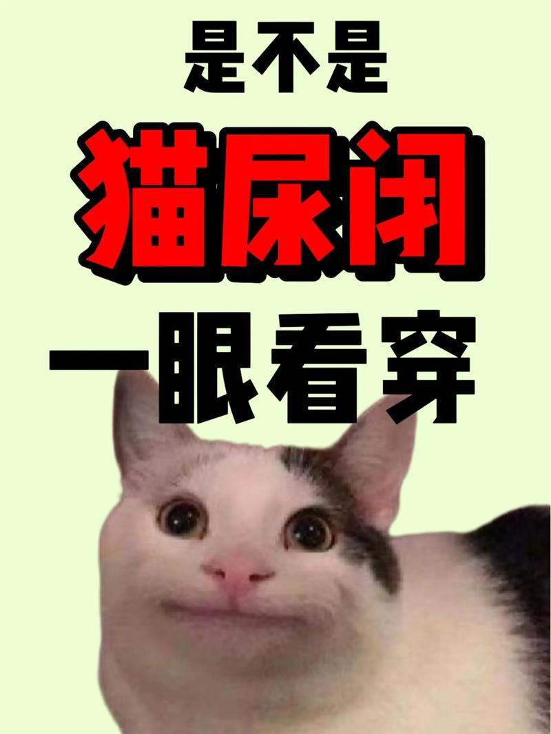猫咪不吃不喝没精神_猫咪不吃不喝没精神吃什么药-第4张图片-后鲨宠物 猫咪不吃不喝没精神_猫咪不吃不喝没精神吃什么药-第4张图片-后鲨宠物