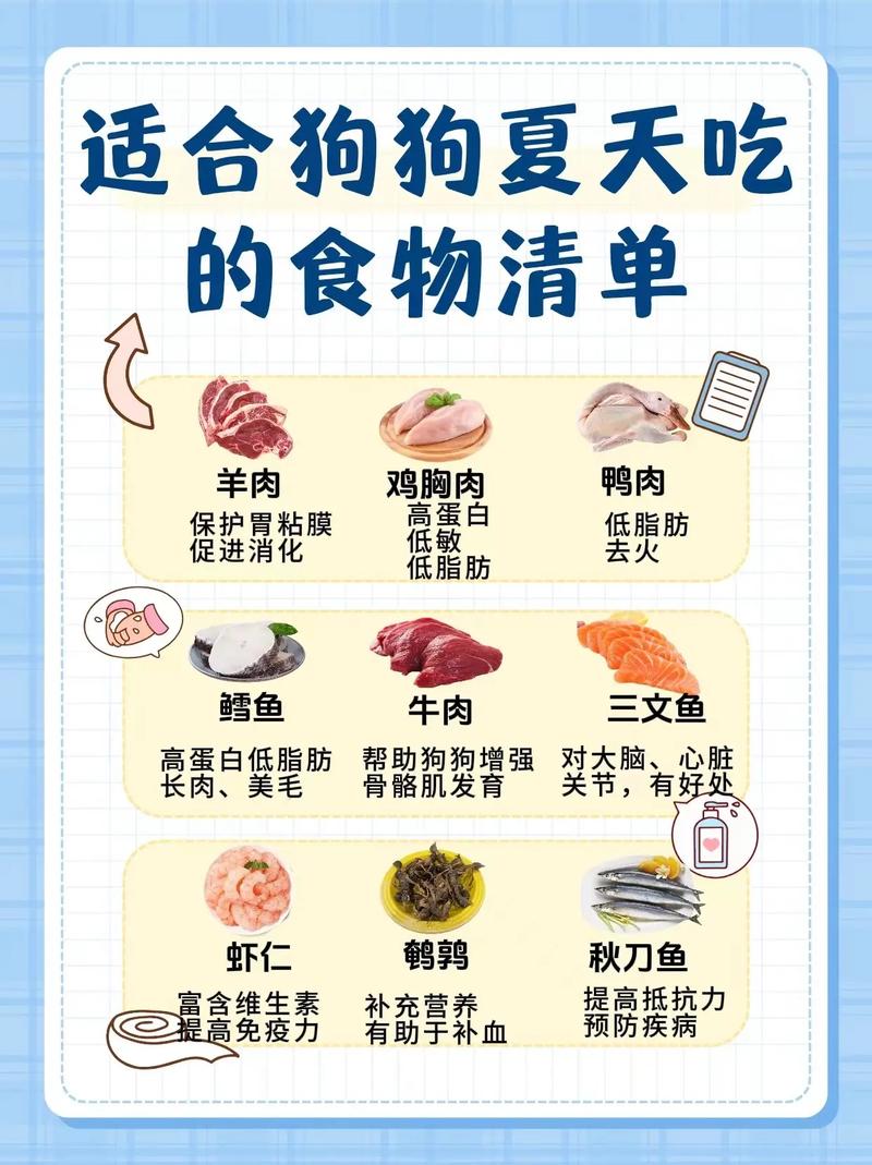 狗狗拉肚子可以吃什么,狗狗拉肚子可以吃什么药好?-第3张图片-后鲨宠物 狗狗拉肚子可以吃什么,狗狗拉肚子可以吃什么药好?-第3张图片-后鲨宠物