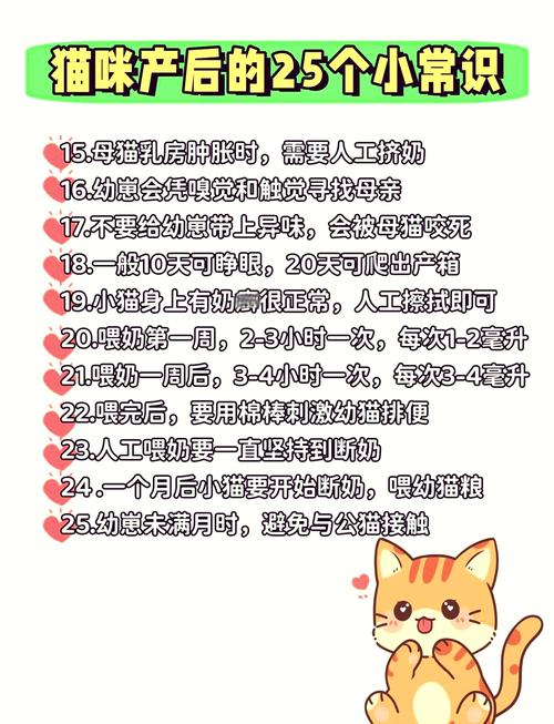 哺乳期猫咪吃什么,哺乳期猫咪吃什么补钙-第6张图片-后鲨宠物 哺乳期猫咪吃什么,哺乳期猫咪吃什么补钙-第6张图片-后鲨宠物