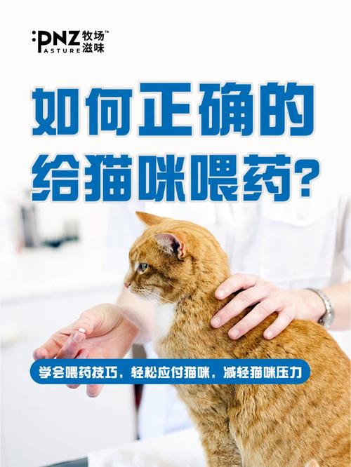 猫咪不吃药怎么办_猫咪不吃药怎么喂他吃-第2张图片-后鲨宠物 猫咪不吃药怎么办_猫咪不吃药怎么喂他吃-第2张图片-后鲨宠物