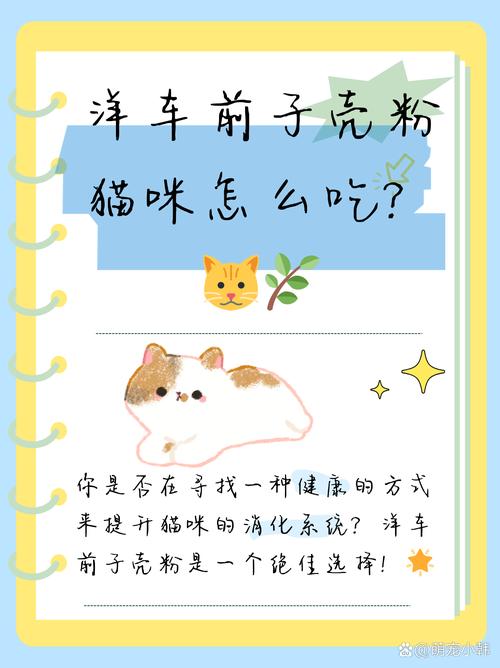 猫咪不吃药怎么办_猫咪不吃药怎么喂他吃-第4张图片-后鲨宠物 猫咪不吃药怎么办_猫咪不吃药怎么喂他吃-第4张图片-后鲨宠物