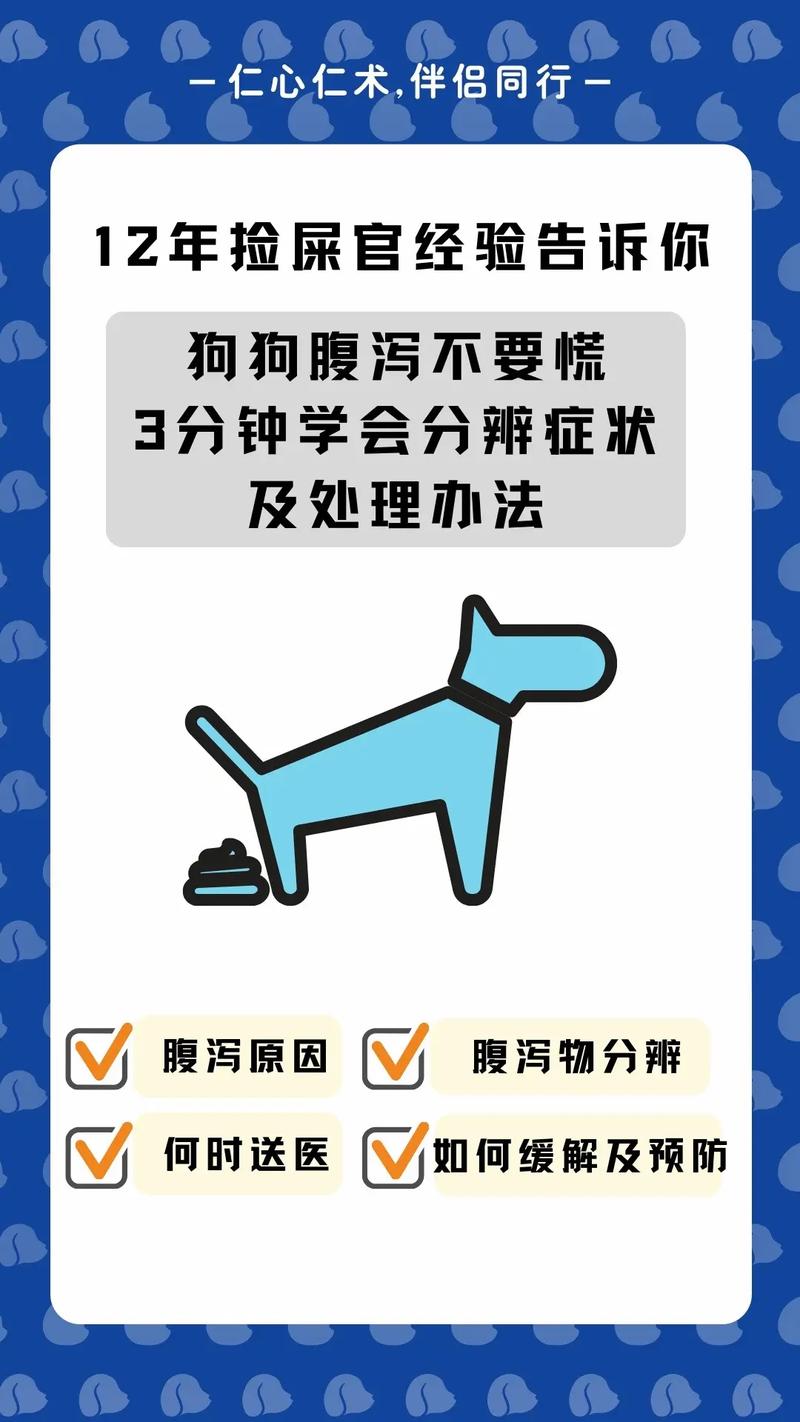  3个月狗狗拉稀怎么办，三个月狗狗拉稀怎么办?-第5张图片-后鲨宠物