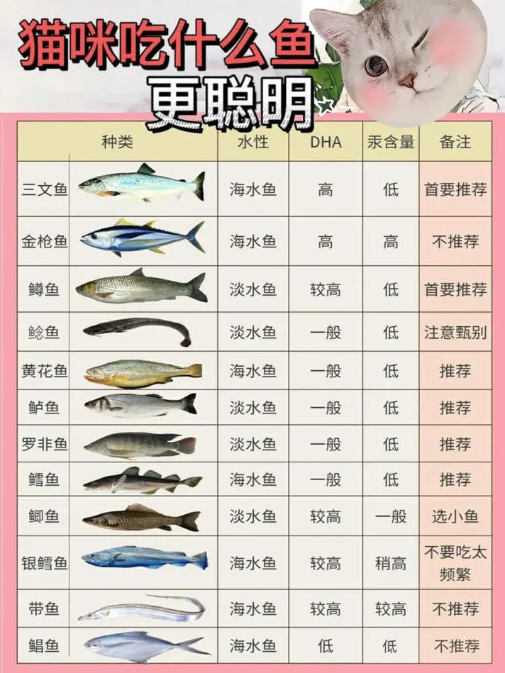 猫咪可以吃鱼吗_猫咪能吃鱼么-第4张图片-后鲨宠物 猫咪可以吃鱼吗_猫咪能吃鱼么-第4张图片-后鲨宠物