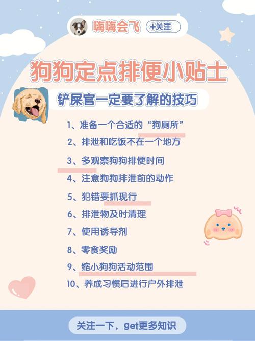 如何教会狗狗定点排便_怎样快速教狗狗定点排泄-第2张图片-后鲨宠物 如何教会狗狗定点排便_怎样快速教狗狗定点排泄-第2张图片-后鲨宠物