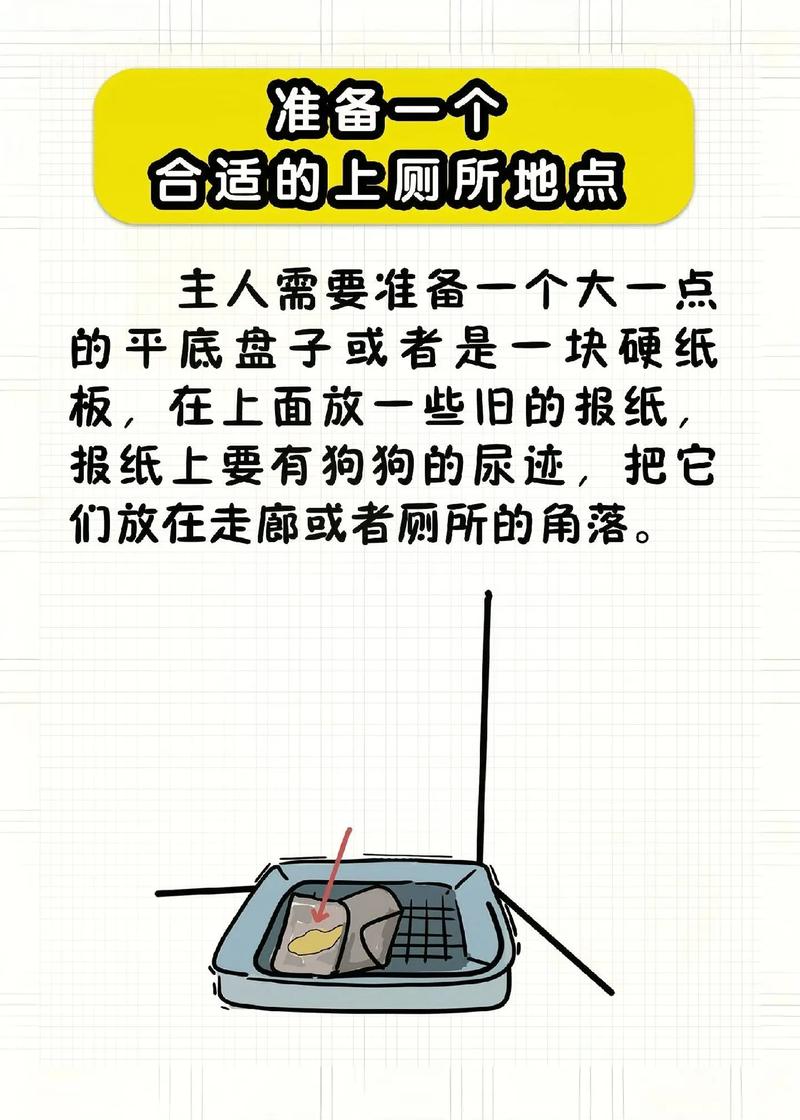 如何教会狗狗定点排便_怎样快速教狗狗定点排泄-第5张图片-后鲨宠物 如何教会狗狗定点排便_怎样快速教狗狗定点排泄-第5张图片-后鲨宠物