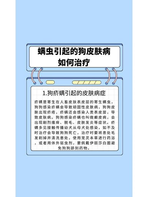 狗狗得了螨虫怎么治疗_狗得了螨虫病能根治吗-第3张图片-后鲨宠物 狗狗得了螨虫怎么治疗_狗得了螨虫病能根治吗-第3张图片-后鲨宠物