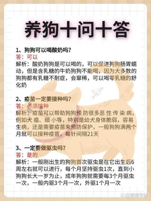 狗狗肠胃不好可以喝酸奶吗,狗狗肠胃不适可以喝益生菌和奶吗??-第1张图片-后鲨宠物 狗狗肠胃不好可以喝酸奶吗,狗狗肠胃不适可以喝益生菌和奶吗??-第1张图片-后鲨宠物