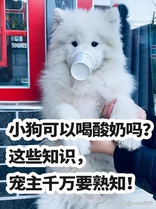 狗狗肠胃不好可以喝酸奶吗,狗狗肠胃不适可以喝益生菌和奶吗??-第4张图片-后鲨宠物 狗狗肠胃不好可以喝酸奶吗,狗狗肠胃不适可以喝益生菌和奶吗??-第4张图片-后鲨宠物