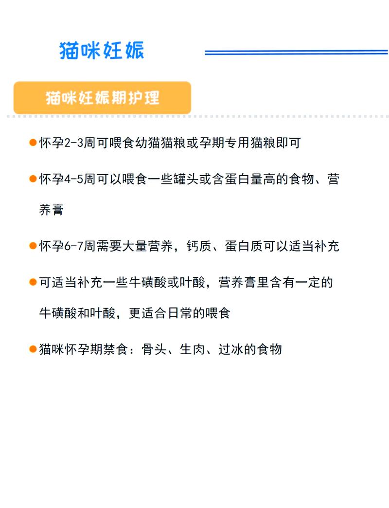 猫咪生完多久能再怀孕,猫咪生完多久会再怀孕-第1张图片-后鲨宠物 猫咪生完多久能再怀孕,猫咪生完多久会再怀孕-第1张图片-后鲨宠物