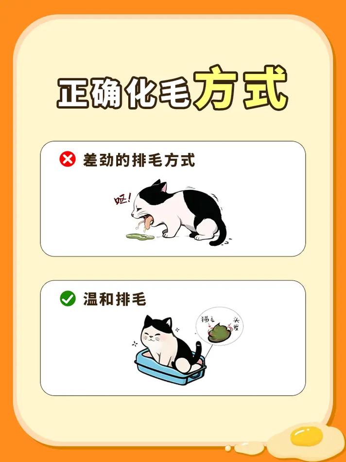 怎么给猫咪催吐_怎么给猫咪催吐毛球-第2张图片-后鲨宠物 怎么给猫咪催吐_怎么给猫咪催吐毛球-第2张图片-后鲨宠物