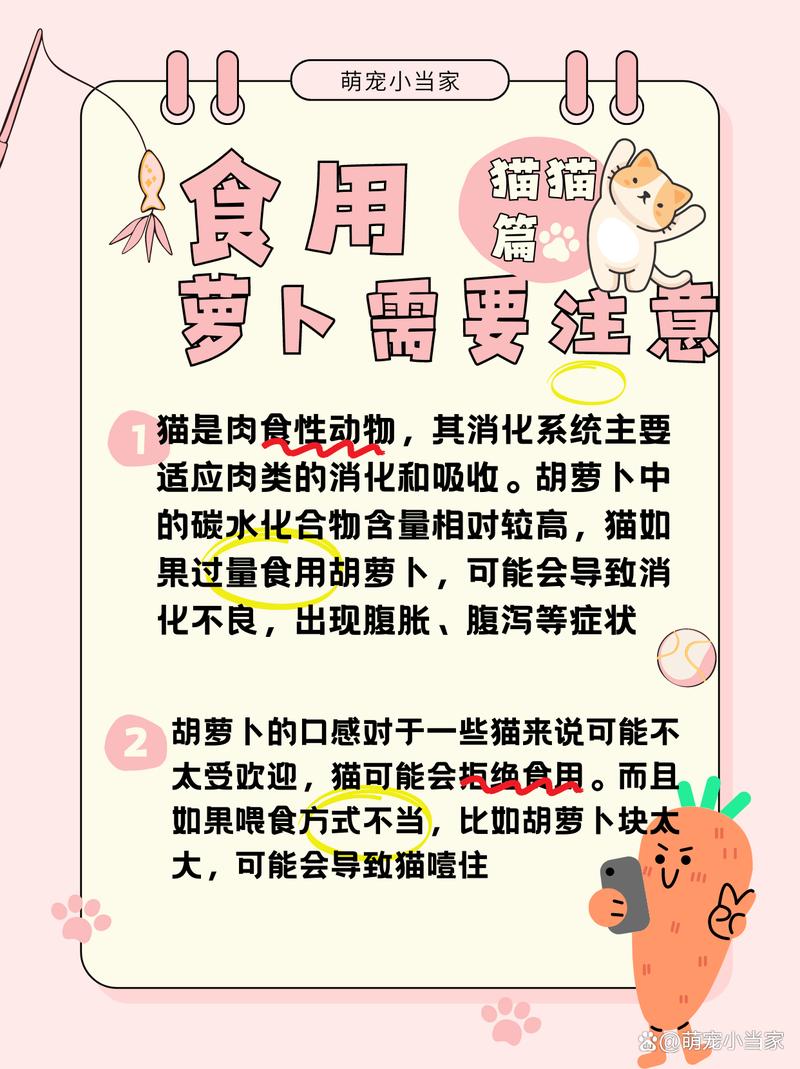 猫猫可以吃胡萝卜吗_猫能吃胡萝卜吗?-第1张图片-后鲨宠物 猫猫可以吃胡萝卜吗_猫能吃胡萝卜吗?-第1张图片-后鲨宠物