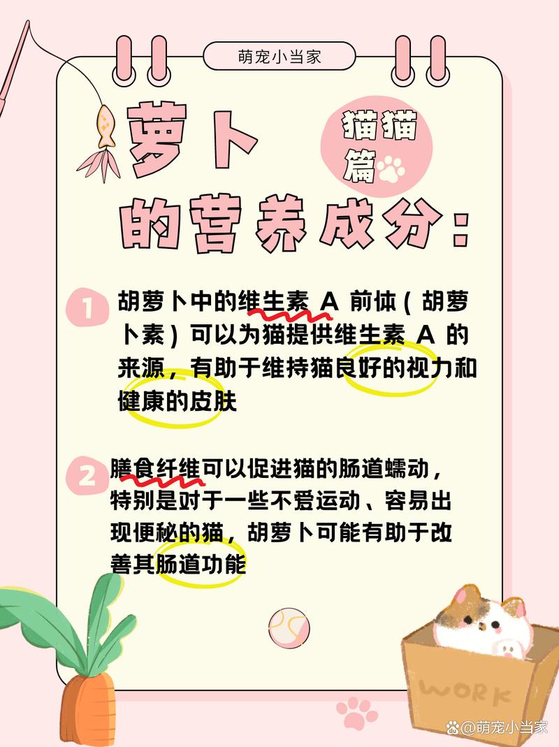 猫猫可以吃胡萝卜吗_猫能吃胡萝卜吗?-第3张图片-后鲨宠物 猫猫可以吃胡萝卜吗_猫能吃胡萝卜吗?-第3张图片-后鲨宠物