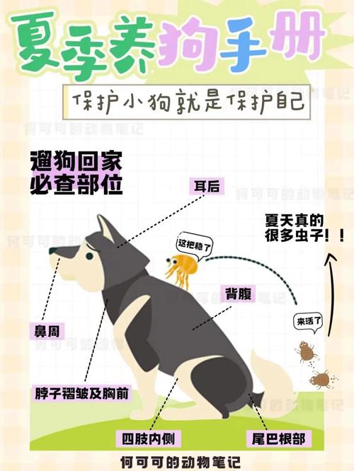 怎么防止狗狗被蚊子咬_如何避免狗狗被蚊子咬-第5张图片-后鲨宠物 怎么防止狗狗被蚊子咬_如何避免狗狗被蚊子咬-第5张图片-后鲨宠物