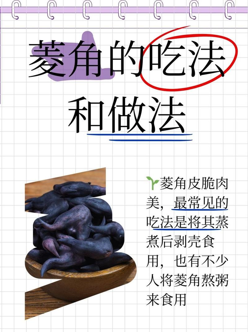 狗狗可以吃菱角吗_狗狗可以吃菱角吗有毒吗-第1张图片-后鲨宠物 狗狗可以吃菱角吗_狗狗可以吃菱角吗有毒吗-第1张图片-后鲨宠物