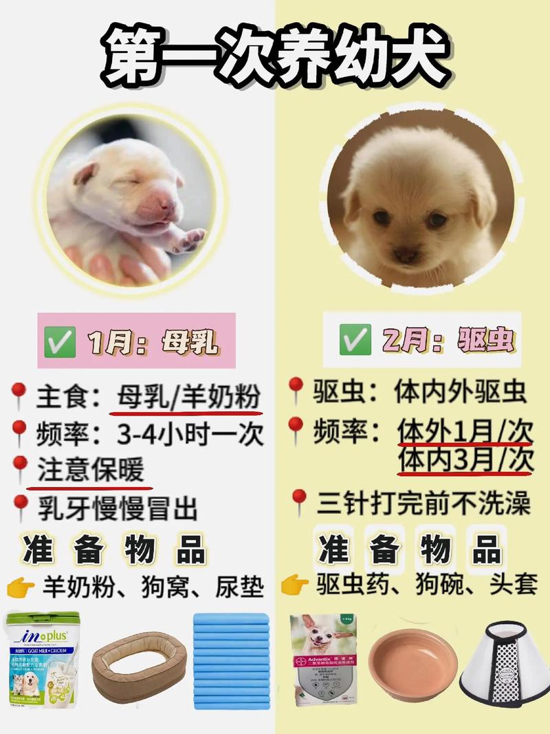 狗狗多大可以断奶_狗狗多大可以断奶了-第3张图片-后鲨宠物 狗狗多大可以断奶_狗狗多大可以断奶了-第3张图片-后鲨宠物