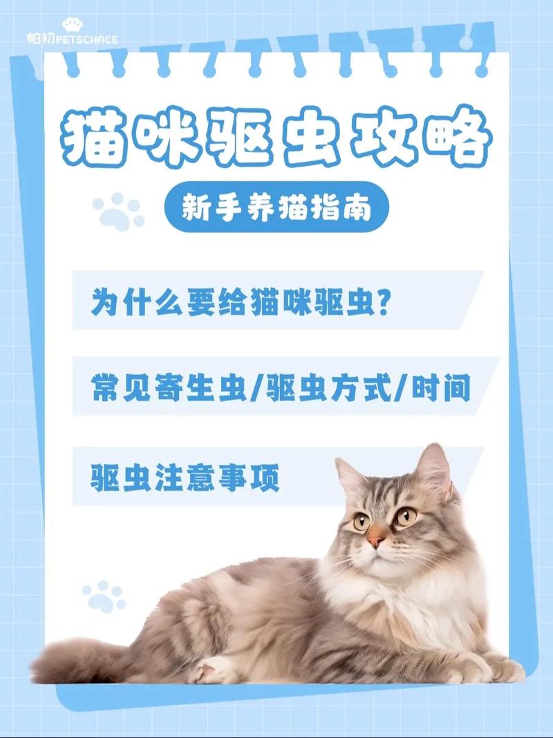 猫咪怀孕可以驱虫吗_猫咪怀孕期间能驱虫吗-第2张图片-后鲨宠物 猫咪怀孕可以驱虫吗_猫咪怀孕期间能驱虫吗-第2张图片-后鲨宠物