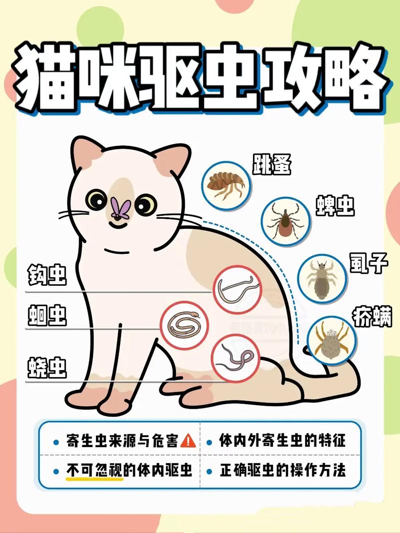 猫咪怀孕可以驱虫吗_猫咪怀孕期间能驱虫吗-第5张图片-后鲨宠物 猫咪怀孕可以驱虫吗_猫咪怀孕期间能驱虫吗-第5张图片-后鲨宠物