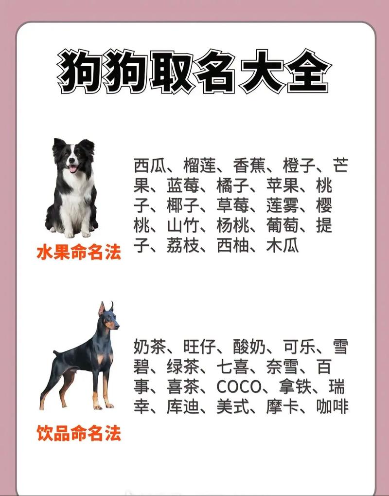 三个字的狗狗名字,三个字的狗的名字?-第6张图片-后鲨宠物 三个字的狗狗名字,三个字的狗的名字?-第6张图片-后鲨宠物