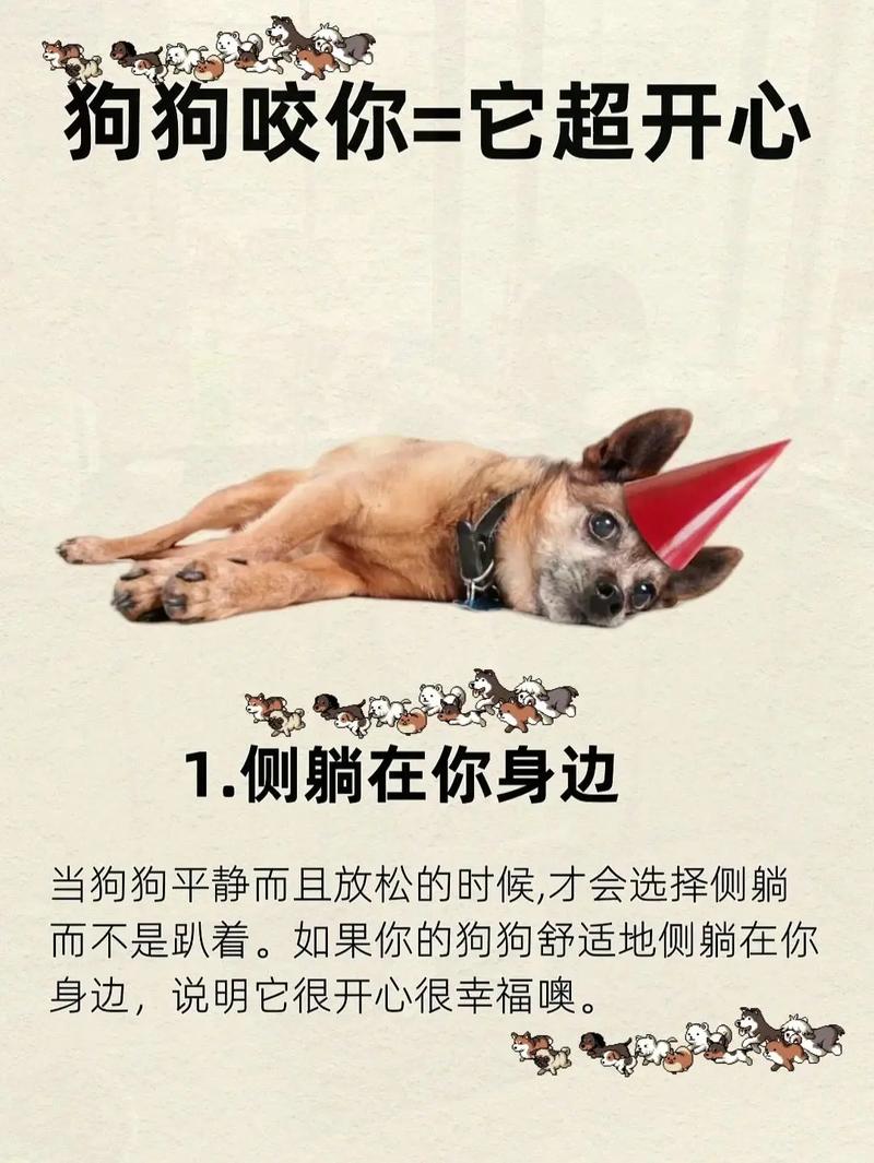 狗狗换环境后的表现,狗狗换环境怎么处理?-第2张图片-后鲨宠物 狗狗换环境后的表现,狗狗换环境怎么处理?-第2张图片-后鲨宠物