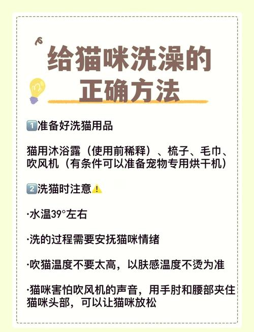 猫咪能用人的沐浴露吗,猫咪能用人的沐浴露吗?-第1张图片-后鲨宠物 猫咪能用人的沐浴露吗,猫咪能用人的沐浴露吗?-第1张图片-后鲨宠物