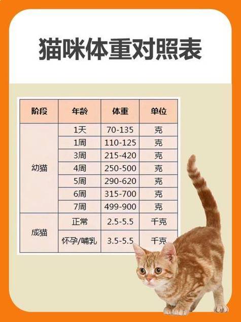 猫咪体重年龄对照表,猫咪体重范围-第2张图片-后鲨宠物 猫咪体重年龄对照表,猫咪体重范围-第2张图片-后鲨宠物
