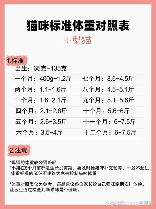 猫咪体重年龄对照表,猫咪体重范围-第6张图片-后鲨宠物 猫咪体重年龄对照表,猫咪体重范围-第6张图片-后鲨宠物