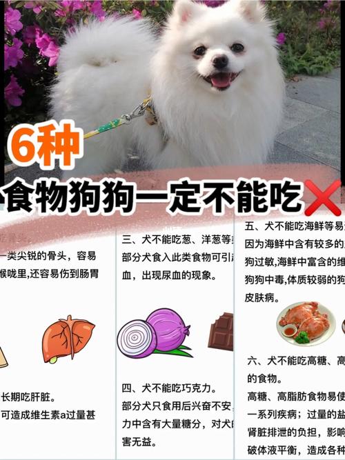 狗狗可以吃小布丁吗,小狗可以吃布丁么?-第3张图片-后鲨宠物 狗狗可以吃小布丁吗,小狗可以吃布丁么?-第3张图片-后鲨宠物