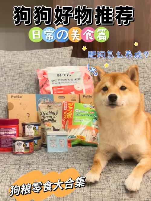 狗狗可以吃小布丁吗,小狗可以吃布丁么?-第4张图片-后鲨宠物 狗狗可以吃小布丁吗,小狗可以吃布丁么?-第4张图片-后鲨宠物