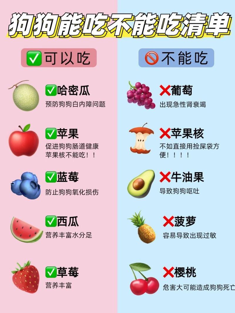 狗狗可以吃小布丁吗,小狗可以吃布丁么?-第5张图片-后鲨宠物 狗狗可以吃小布丁吗,小狗可以吃布丁么?-第5张图片-后鲨宠物