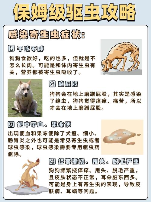 狗狗几个月体内驱虫_狗狗几个月开始体内外驱虫-第1张图片-后鲨宠物 狗狗几个月体内驱虫_狗狗几个月开始体内外驱虫-第1张图片-后鲨宠物