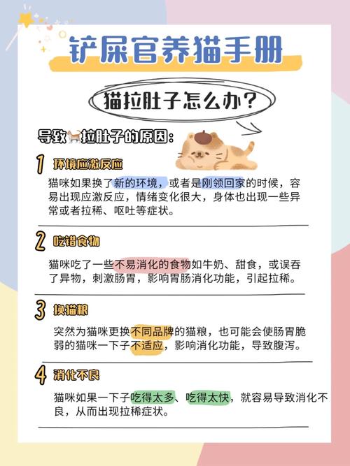 猫咪便秘吃什么药,猫咪便秘吃什么药最快排便?-第2张图片-后鲨宠物 猫咪便秘吃什么药,猫咪便秘吃什么药最快排便?-第2张图片-后鲨宠物