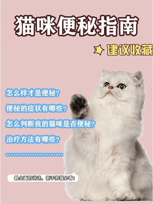 猫咪便秘吃什么药,猫咪便秘吃什么药最快排便?-第1张图片-后鲨宠物 猫咪便秘吃什么药,猫咪便秘吃什么药最快排便?-第1张图片-后鲨宠物