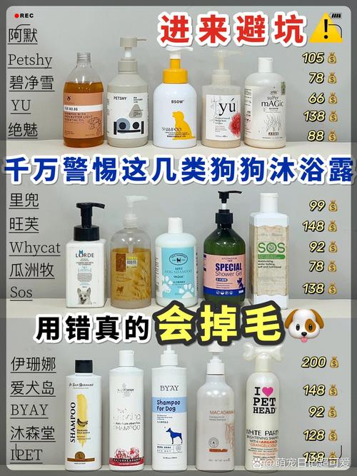 白色狗狗用什么能洗白_白色狗狗怎么能洗白-第1张图片-后鲨宠物 白色狗狗用什么能洗白_白色狗狗怎么能洗白-第1张图片-后鲨宠物