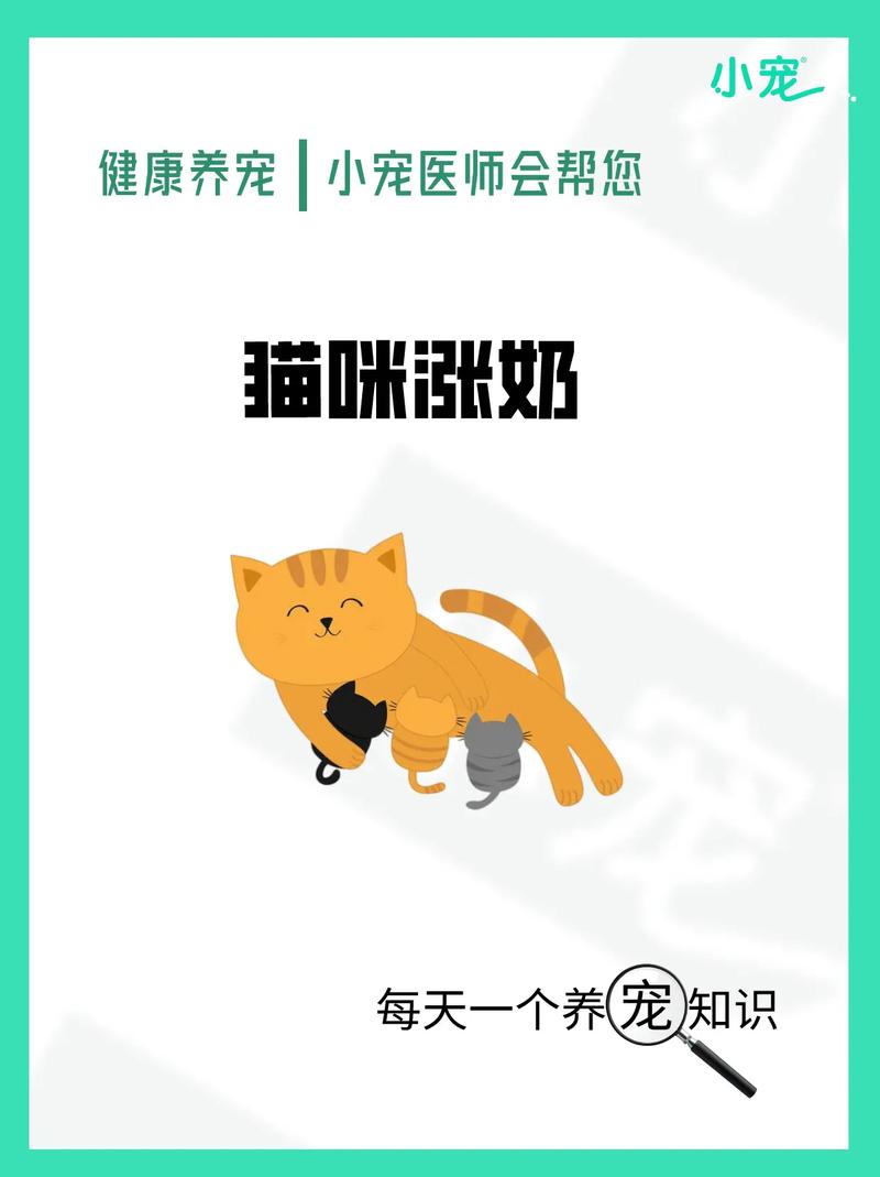 猫咪催奶吃什么比较好,给猫催奶吃什么?-第5张图片-后鲨宠物 猫咪催奶吃什么比较好,给猫催奶吃什么?-第5张图片-后鲨宠物