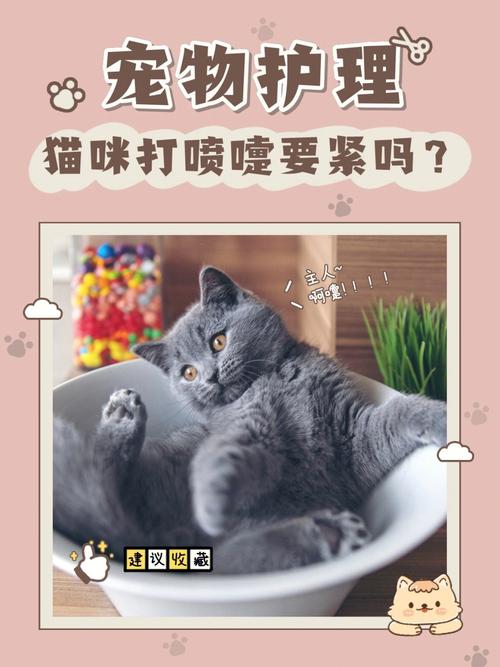 猫咪打喷嚏能打疫苗吗_猫咪打喷嚏可以去打疫苗吗-第5张图片-后鲨宠物 猫咪打喷嚏能打疫苗吗_猫咪打喷嚏可以去打疫苗吗-第5张图片-后鲨宠物