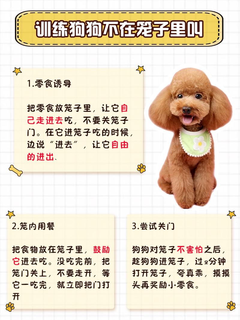 怎样让狗狗不乱叫_如何让狗狗不乱叫-第3张图片-后鲨宠物