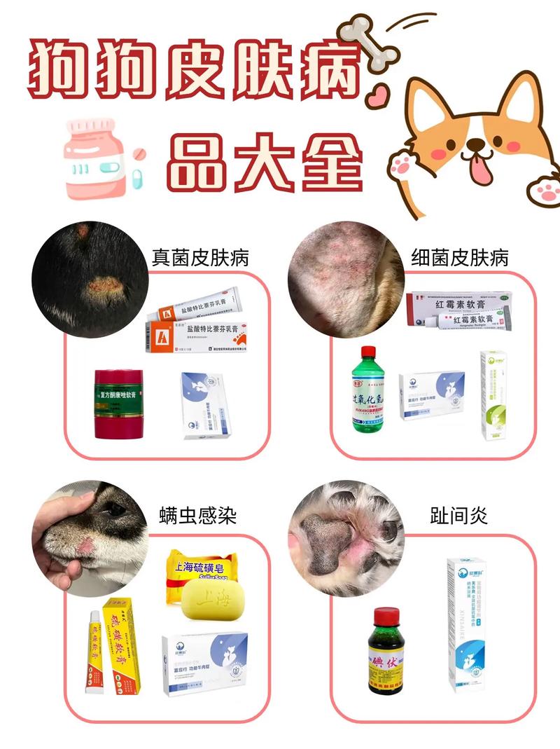 狗狗吃什么对皮肤好,狗狗吃什么对皮肤病好?-第3张图片-后鲨宠物 狗狗吃什么对皮肤好,狗狗吃什么对皮肤病好?-第3张图片-后鲨宠物