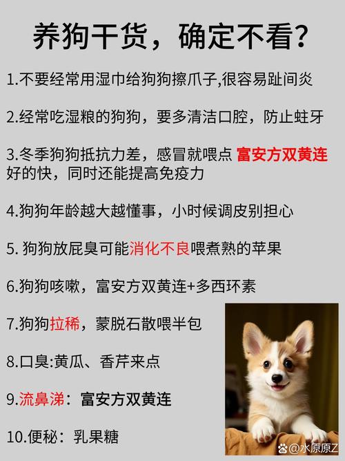 狗狗能喝姜汤吗,狗子可以喝姜汤吗-第2张图片-后鲨宠物 狗狗能喝姜汤吗,狗子可以喝姜汤吗-第2张图片-后鲨宠物