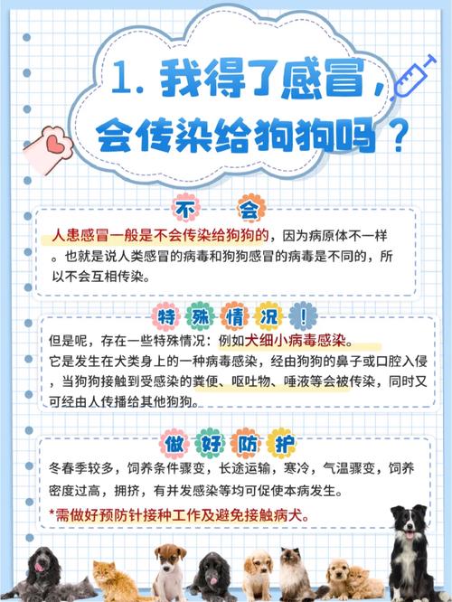 狗狗能喝姜汤吗,狗子可以喝姜汤吗-第6张图片-后鲨宠物 狗狗能喝姜汤吗,狗子可以喝姜汤吗-第6张图片-后鲨宠物